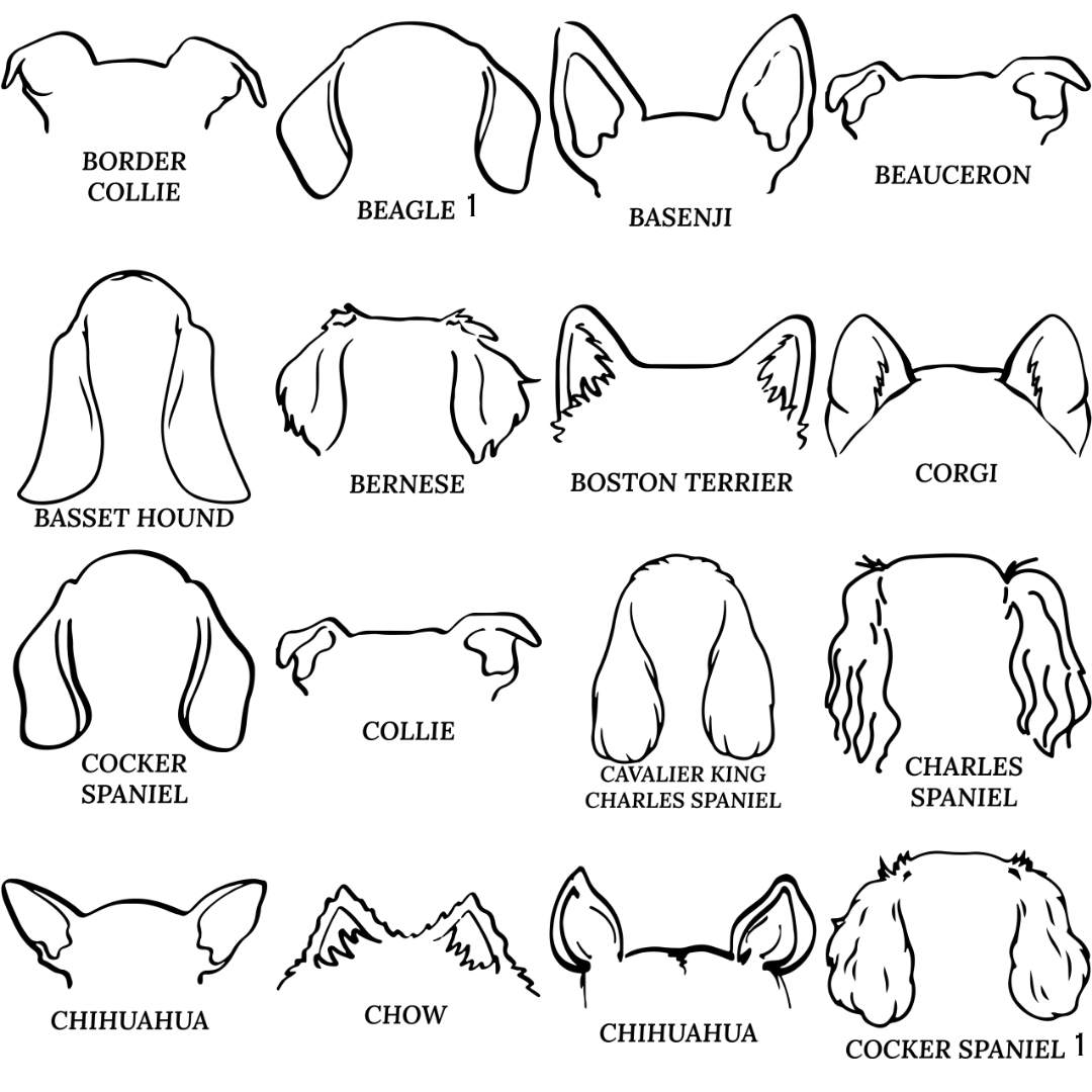 Dog Ear Ornament