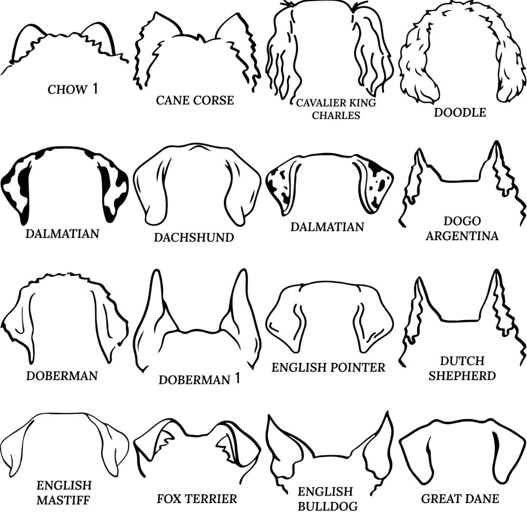 Dog Ear Ornament