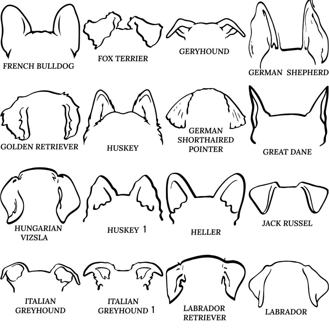 Dog Ear Ornament