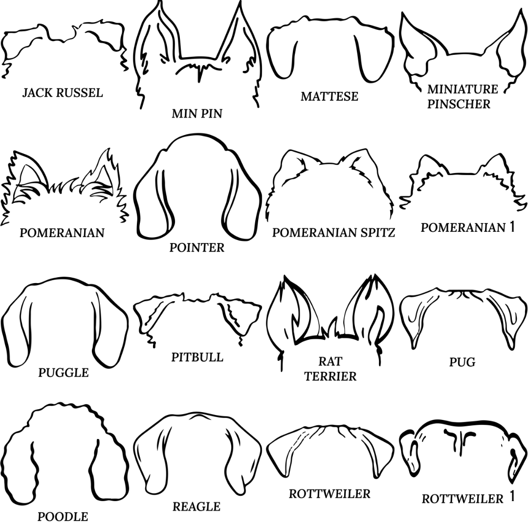 Dog Ear Ornament