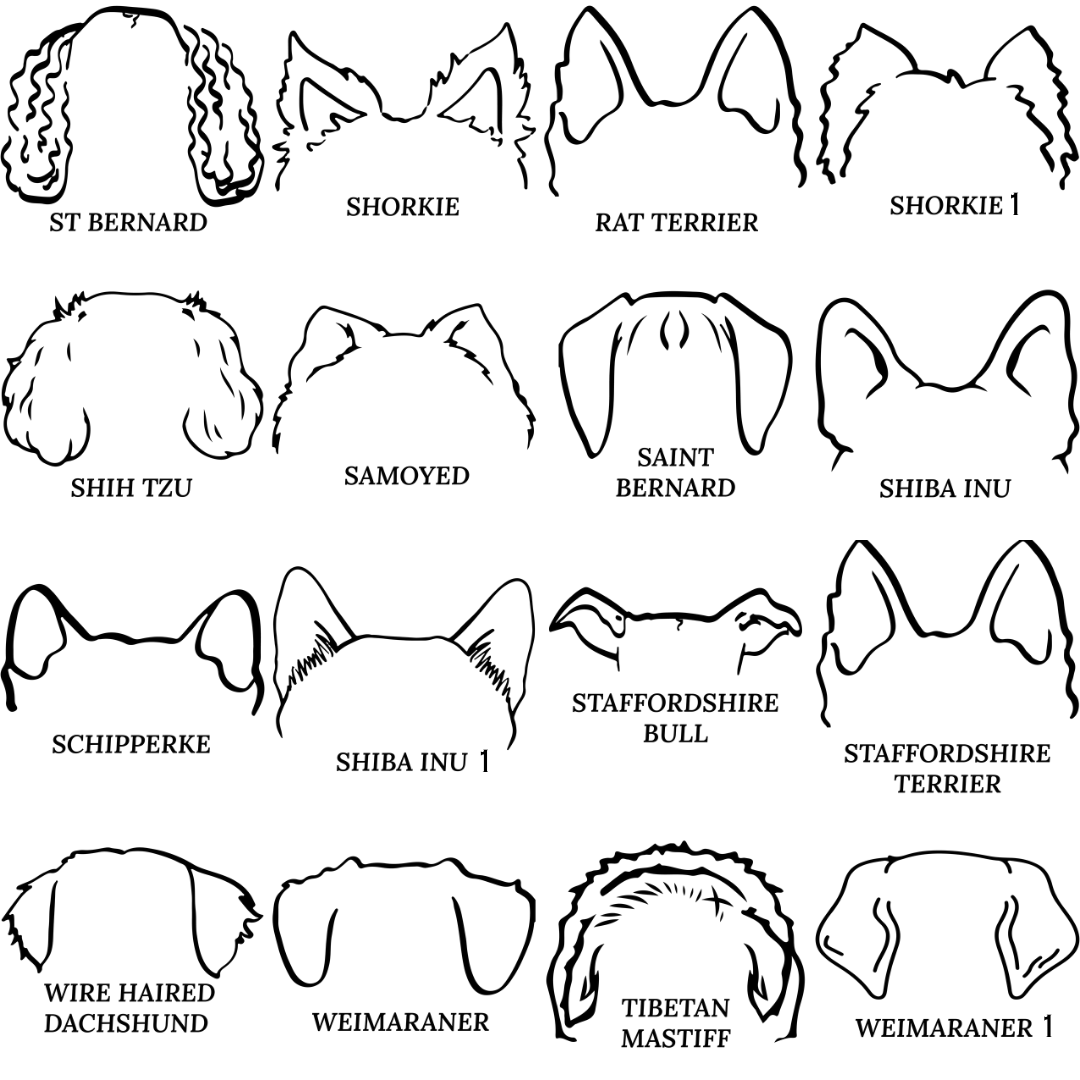 Dog Ear Ornament