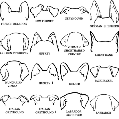 Dog Ear Ornament