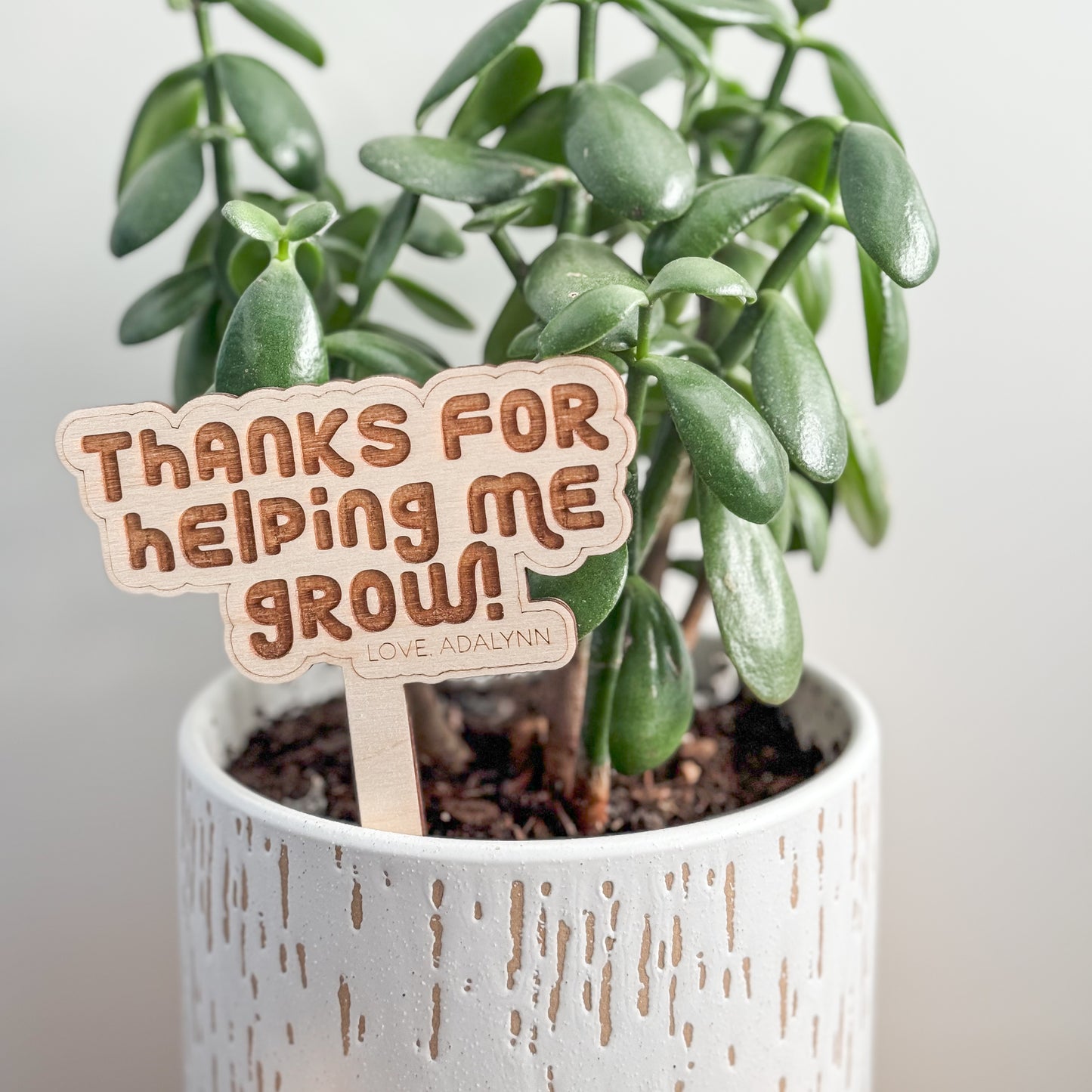 Thanks For Helping Me Grow Plant Stakes